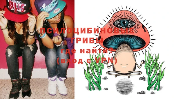 тгк Новокубанск