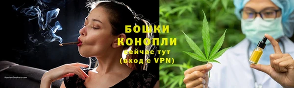крисы Нефтекумск