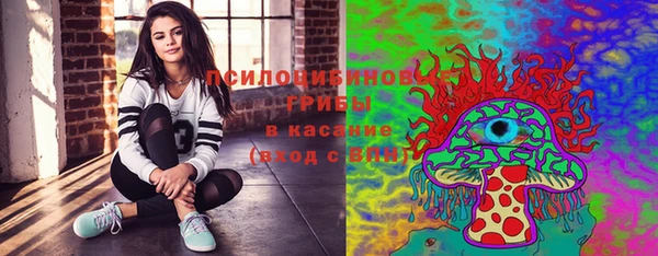 мяу мяу мука Новозыбков