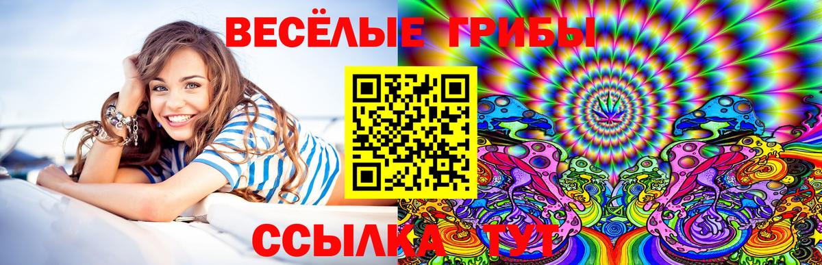 Псилоцибиновые грибы прущие грибы  Псилоцибиновые грибы прущие грибы  Вход с VPN  Лангепас 